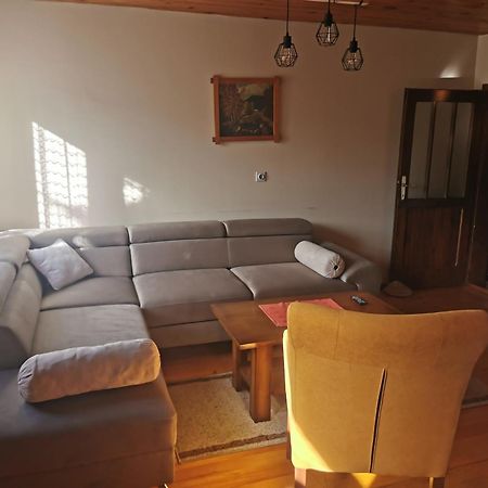 Planinski Mir Zaovine Exteriör bild