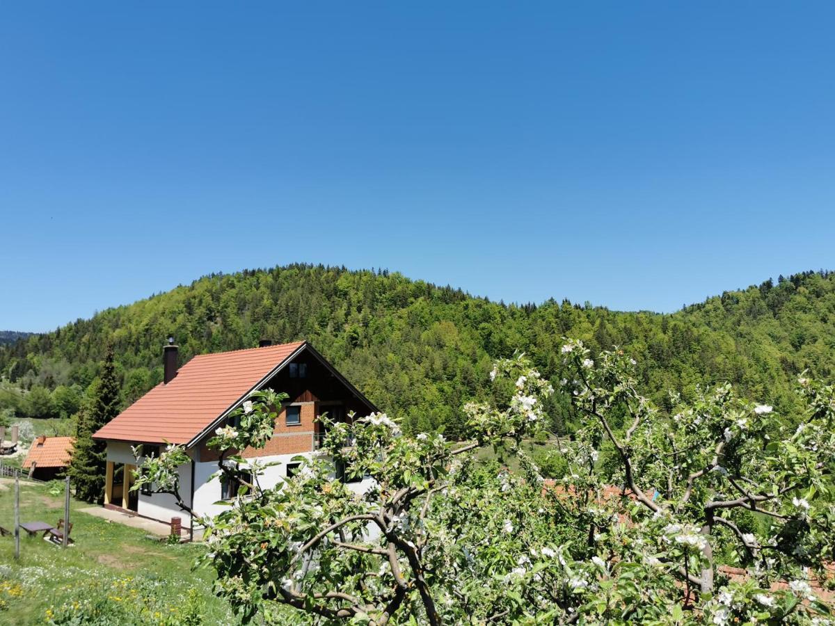 Planinski Mir Zaovine Exteriör bild