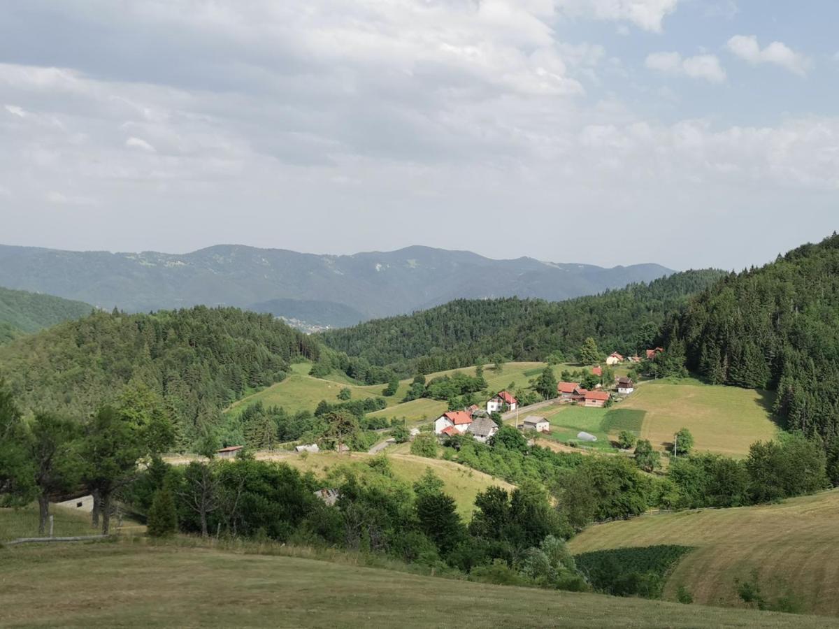 Planinski Mir Zaovine Exteriör bild