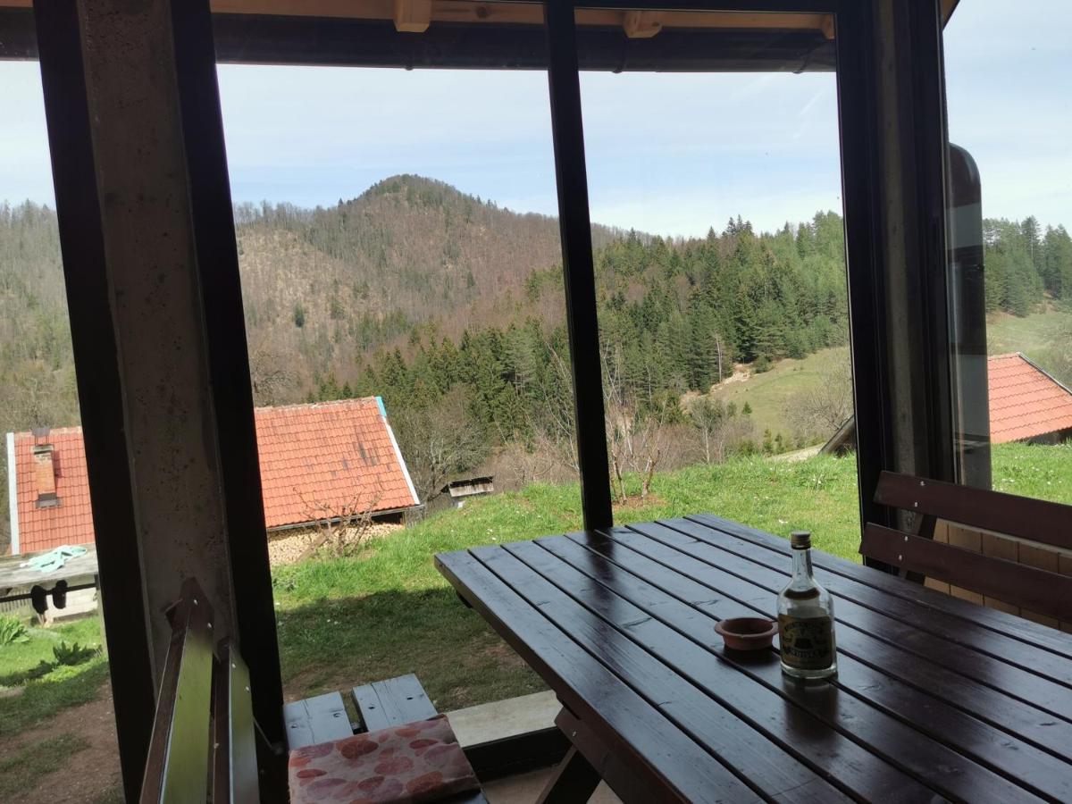 Planinski Mir Zaovine Exteriör bild