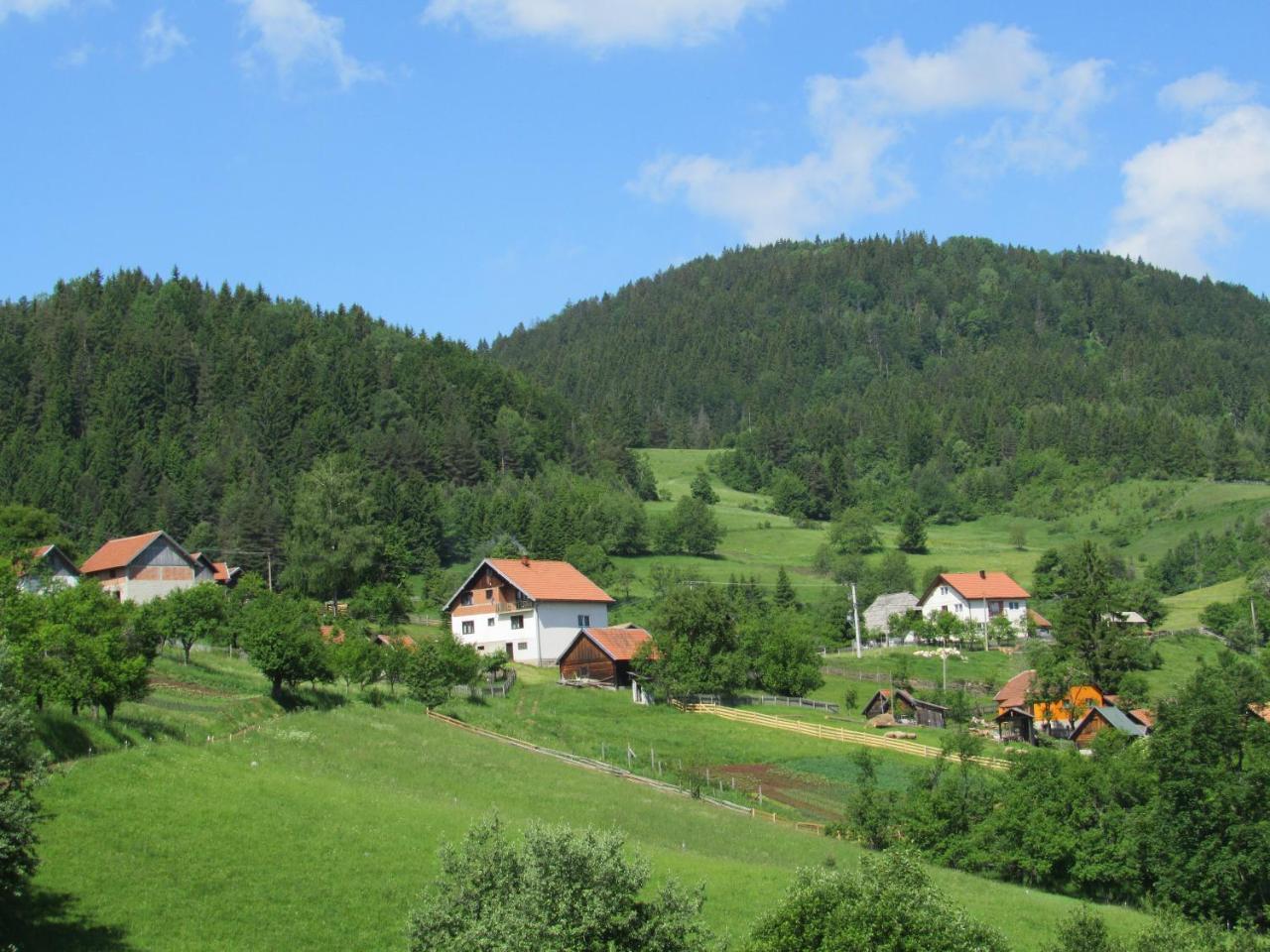 Planinski Mir Zaovine Exteriör bild