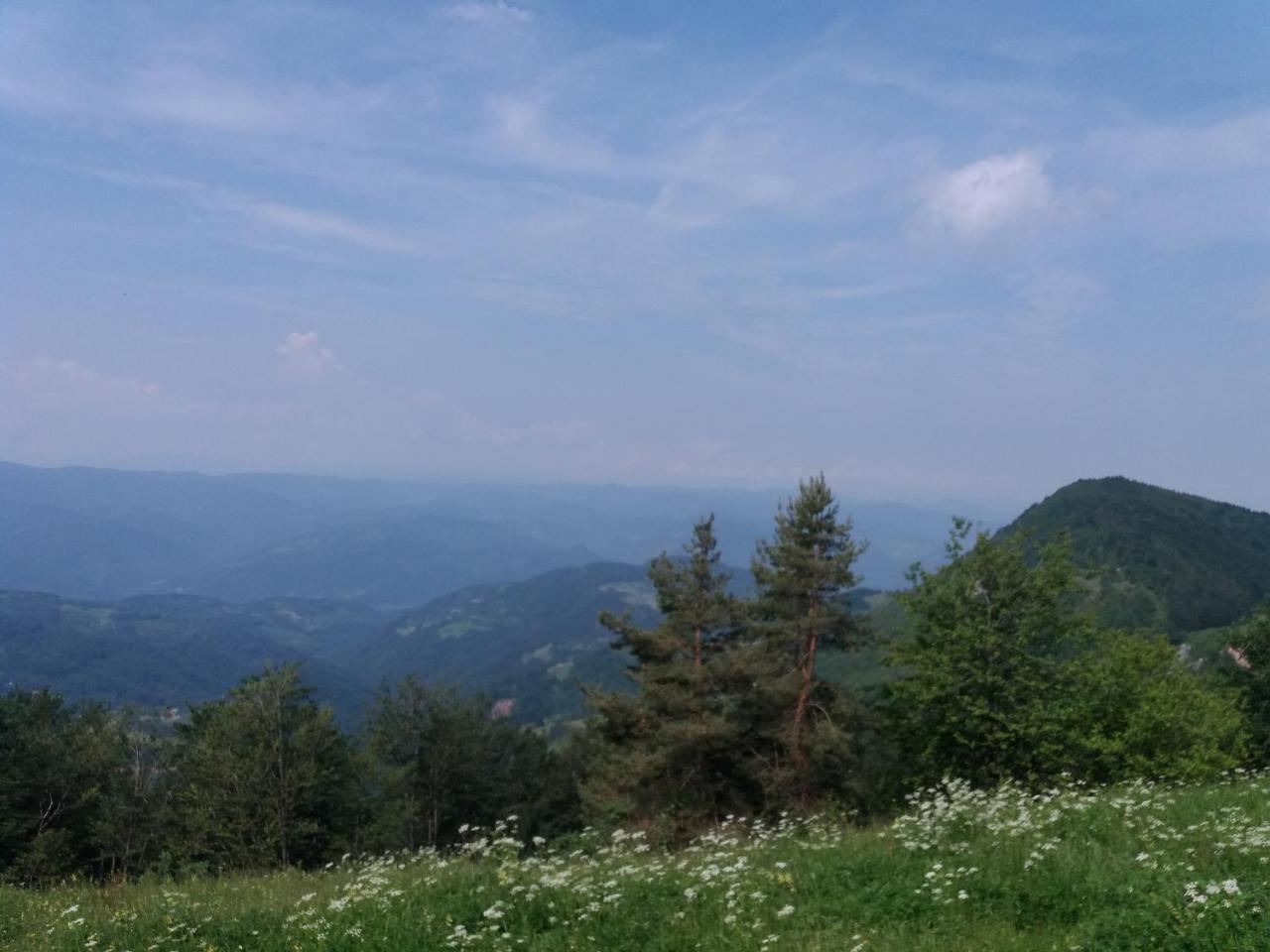 Planinski Mir Zaovine Exteriör bild