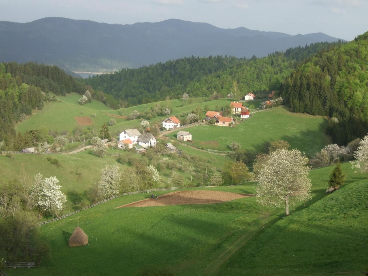 Planinski Mir Zaovine Exteriör bild