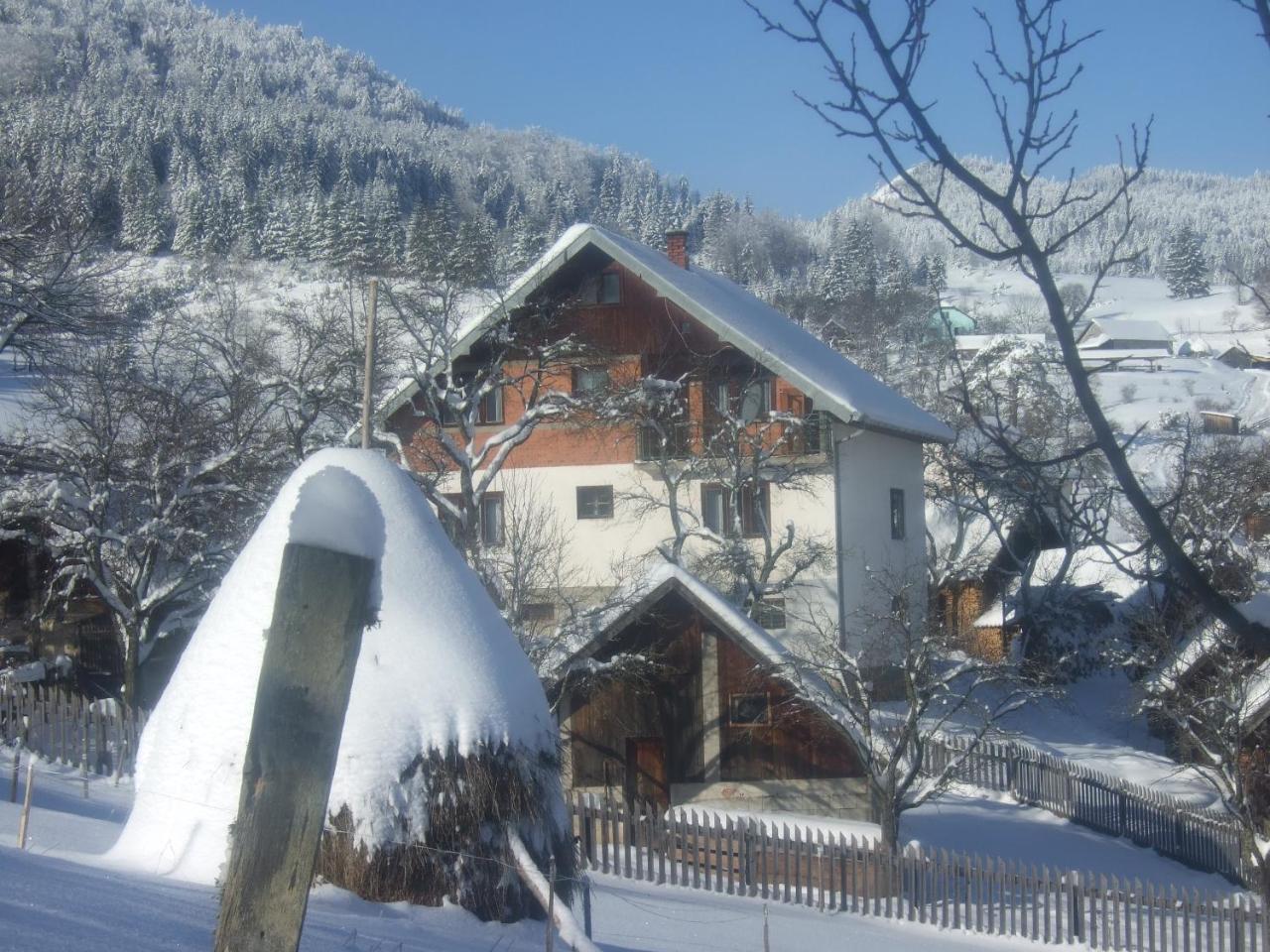 Planinski Mir Zaovine Exteriör bild