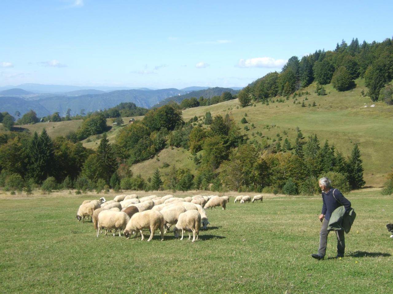 Planinski Mir Zaovine Exteriör bild