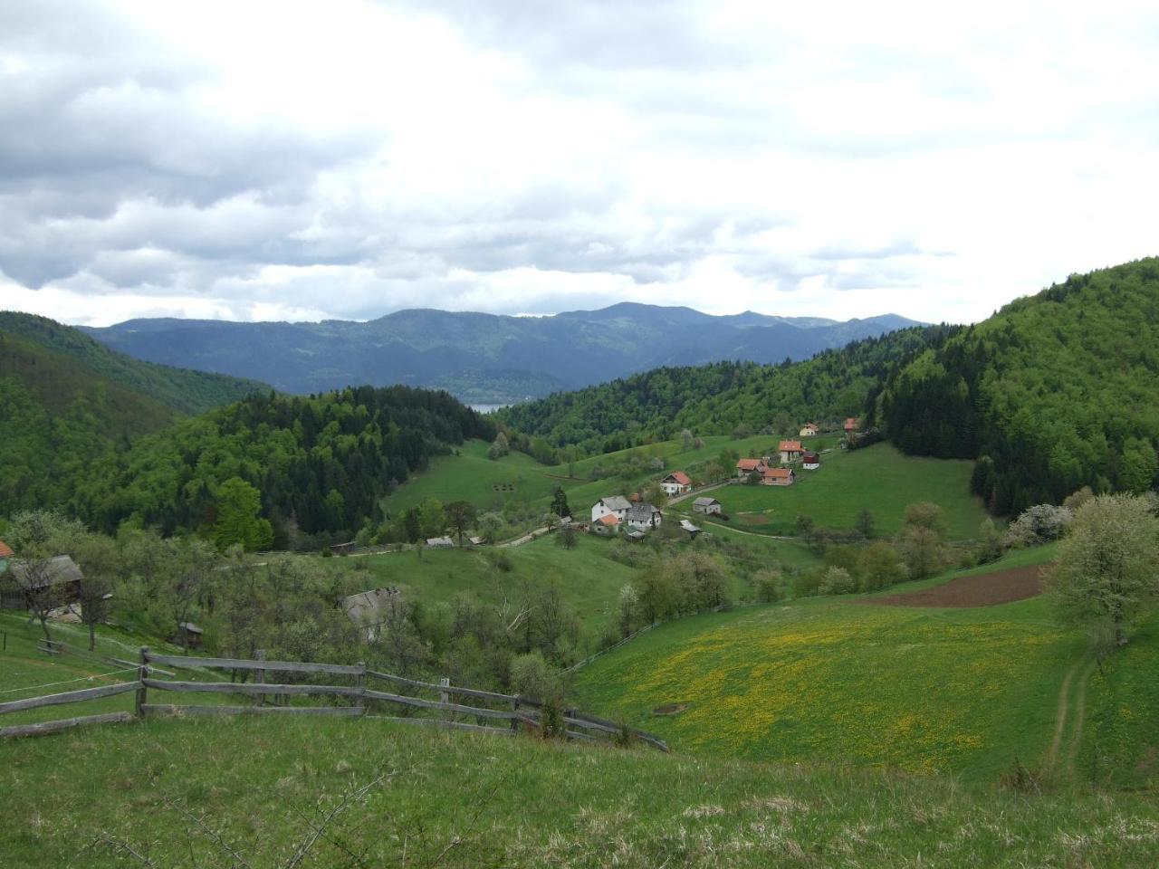 Planinski Mir Zaovine Exteriör bild