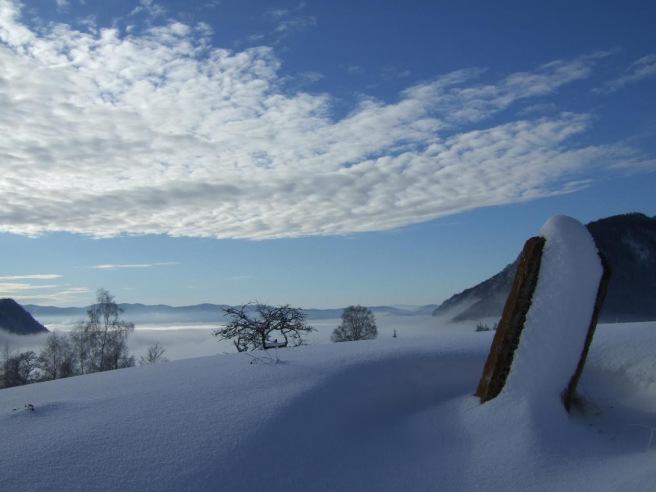 Planinski Mir Zaovine Exteriör bild